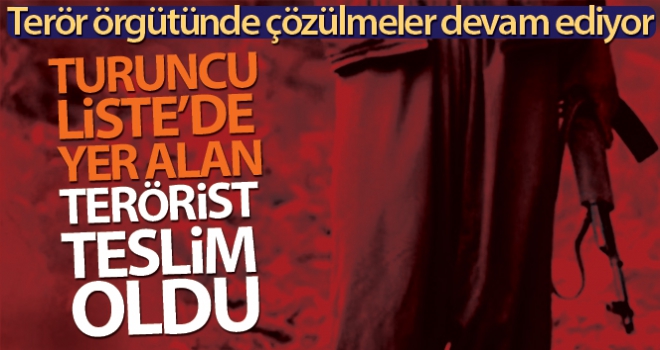 Emniyet'in ikna çalışmasıyla Turuncu Liste'de yer alan 1 terörist teslim oldu