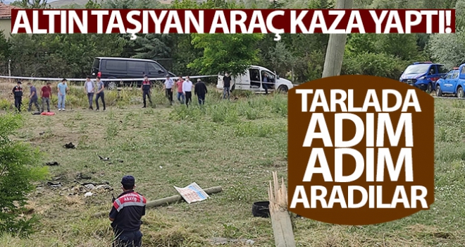 Altın taşıyan araç kaza yaptı, güvenlik güçleri tırmıkla tarlada altın aradı