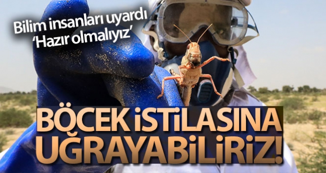 Bilim insanları uyarıyor: 'Böcek istilasına uğrayabiliriz'