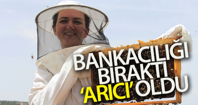 Bankacılığı bırakıp ‘arıcı' oldu