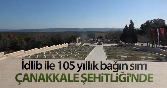 105 yıllık bağın sırrı Çanakkale Şehitliği'nde