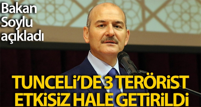 Bakan Soylu: 'Tunceli'de 3 terörist etkisiz hale getirildi'