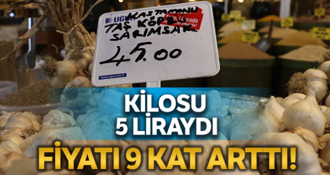 Fiyatı 9 kat arttı, tane ile satılıyor