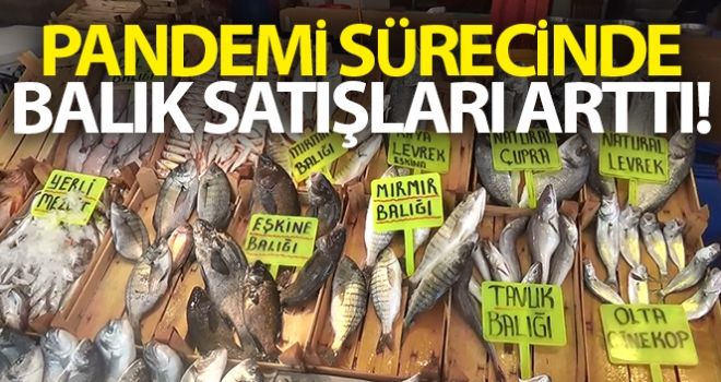 Pandemi sürecinde balık satışları arttı