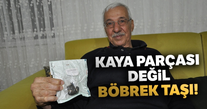 Kaya parçası değil böbrek taşı