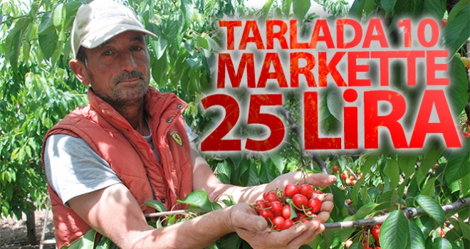 Erkenci kiraz tarlada 10 markette 25 lira