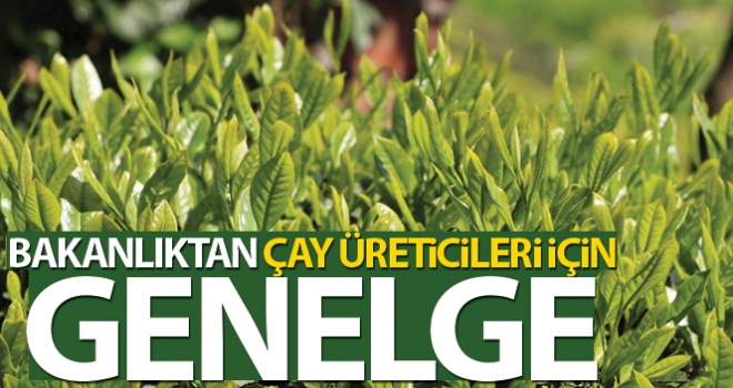 Bakanlıktan 81 ilin valiliğine, 'Çay üreticileri' için genelge