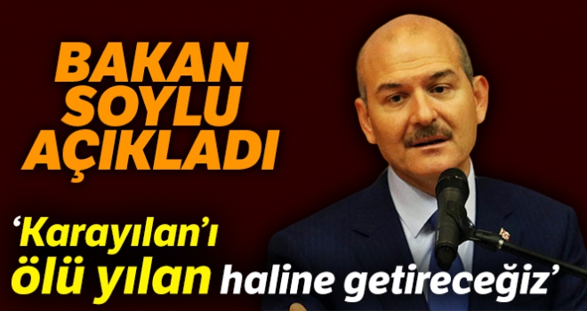 İçişleri Bakanı Süleyman Soylu: 'Milletimize sözümüzdür; Karayılan'ı ölü yılan haline getireceğiz'