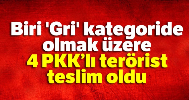 Biri 'Gri' kategoride olmak üzere 4 PKK'lı terörist teslim oldu