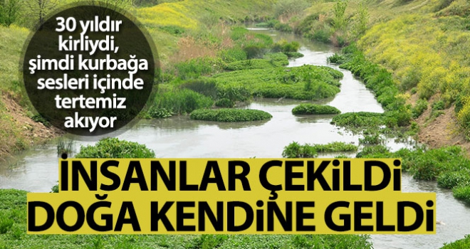 İnsanlar çekildi doğa kendine geldi