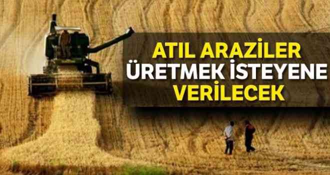 Atıl araziler üretmek isteyene verilecek