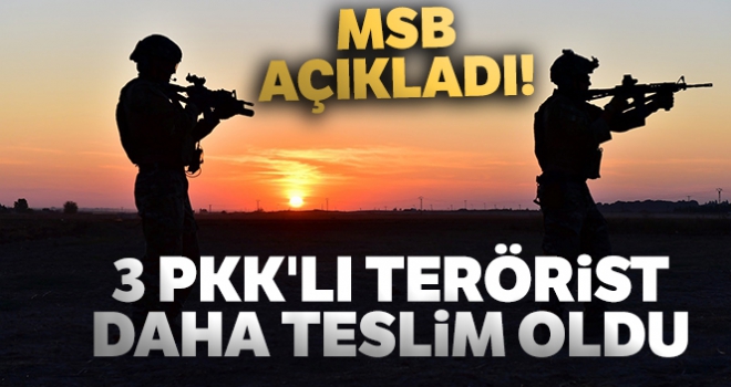 MSB açıkladı! 3 PKK'lı terörist daha teslim oldu