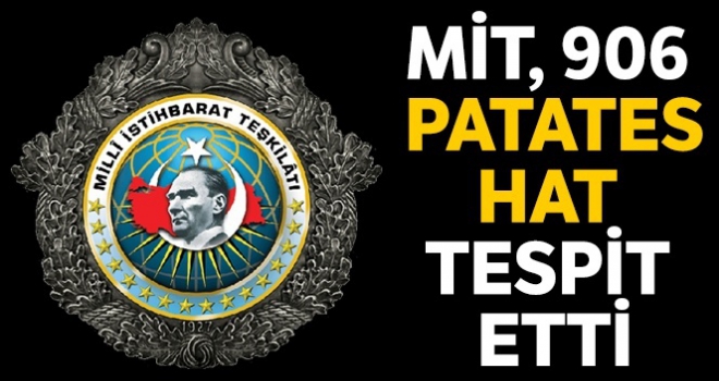 MİT, 906 patates hat tespit etti