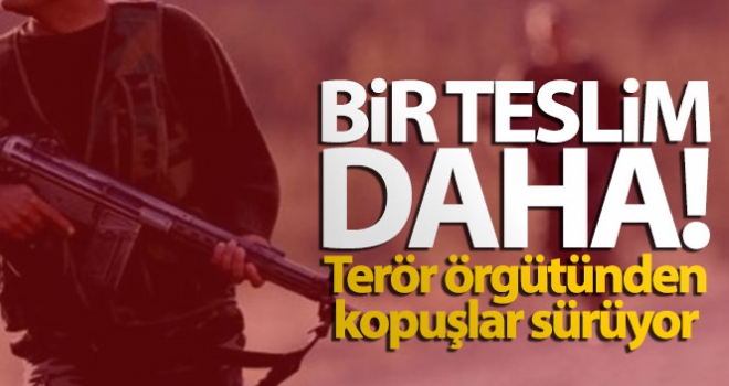 Terör örgütünden ikna yoluyla bir teslim daha