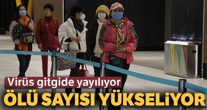 Çin'deki salgında ölenlerin sayısı 132'ye yükseldi