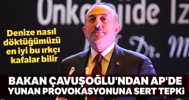 Bakan Çavuşoğlu'ndan AP'de Yunan provokasyonuna sert tepki