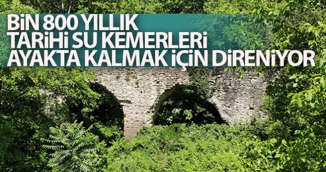 Bin 800 yıllık su kemerleri Kocaeli ormanlarında ayakta kalmak için direniyor