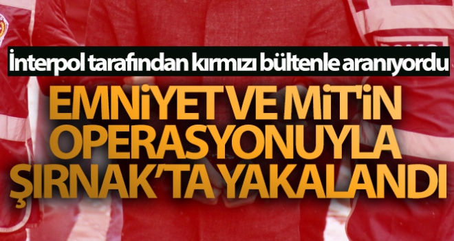 Kırmızı bültenle aranıyordu! Emniyet ve MİT'in operasyonuyla Şırnak'ta yakalandı