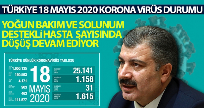 Sağlık Bakanlığı: 'Son 24 saatte korona virüsten 31 kişi hayatını kaybetti'