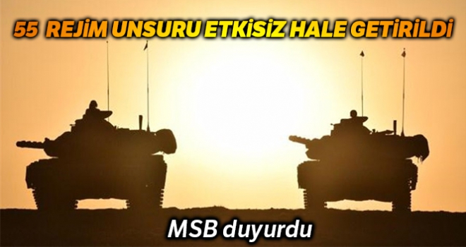 MSB: '55 Rejim unsuru etkisiz hale getirildi'