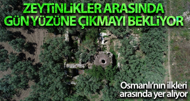 Zeytinliklerin arasında unutulmuş Osmanlı'nın ilk hamamı gün yüzüne çıkmayı bekliyor