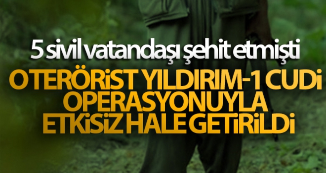 5 sivil vatandaşı şehit eden terörist, Yıldırım-1 Cudi Operasyonuyla etkisiz hale getirildi