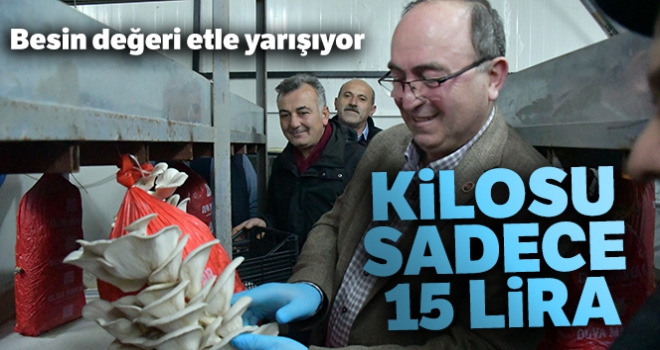 Besin değeri etle yarışıyor kilosu ise sadece 15 lira