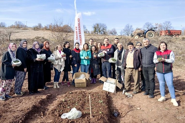 Bursa'da salepe kadın eli değdi