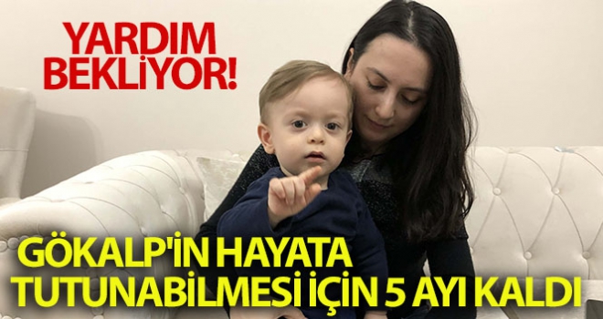 Gökalp'in hayata tutunabilmesi için sadece 5 ayı kaldı