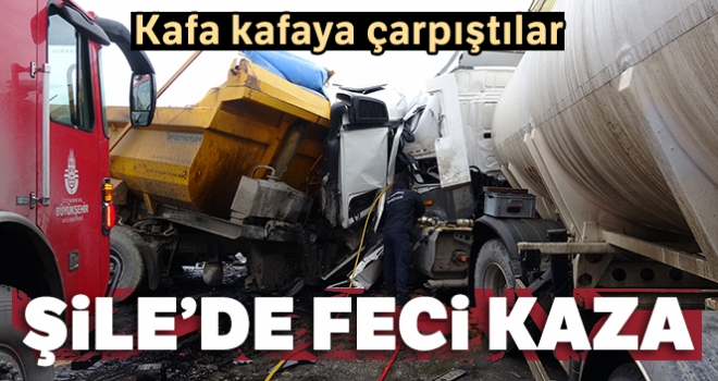 Şile'de iki hafriyat kamyonu kafa kafaya çarpıştı: 2 yaralı