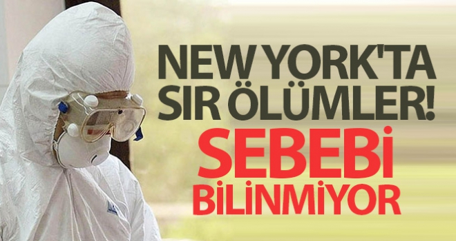 New York'ta 5 binden fazla kişinin ölüm nedeni bilinmiyor