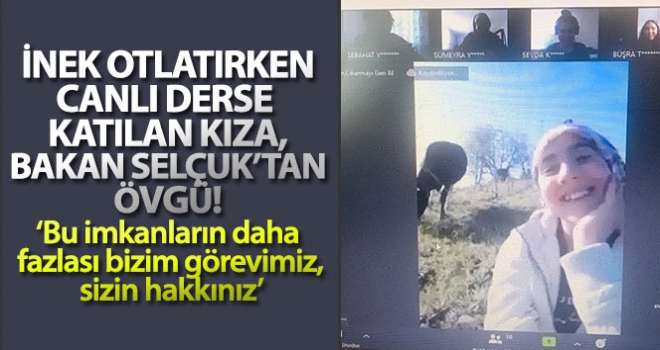 İnek otlatırken EBA canlı derse katılan kıza, Bakan Selçuk'tan övgü