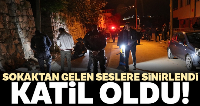 Sokaktan gelen seslere sinirlenince katil oldu