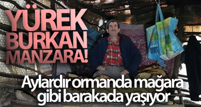 Yürek burkan olay... Aylardır ormanda mağara gibi barakada yaşıyor...