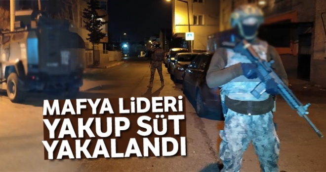 Suç örgütü lideri Yakup Süt ve adamlarına operasyon: 53 gözaltı