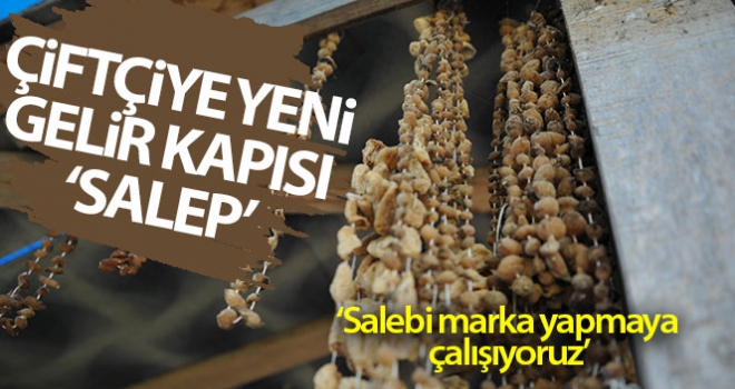 Çiftçiye yeni gelir kapısı: Salep