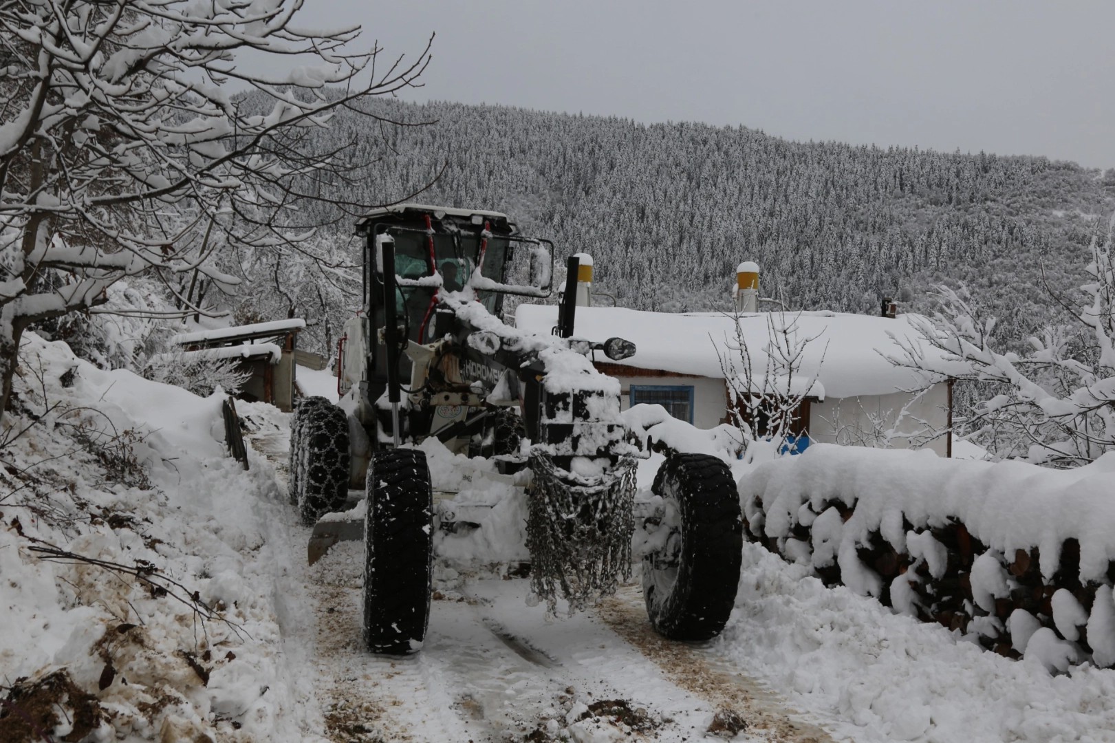 Artvin'de kar 125 köye ulaşımı kesti!