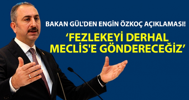 Bakan Gül'den Engin Özkoç açıklaması