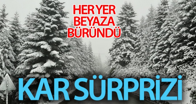 23 Mayıs'ta yağan kar şaşırttı: Her yer beyaza büründü