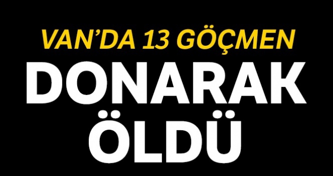 Çaldıran'da 13 düzensiz göçmen donarak öldü