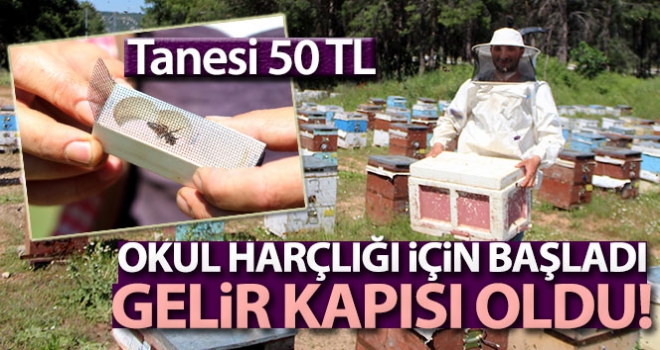 Okul harçlığı için başladığı arcılık gelir kapısı oldu