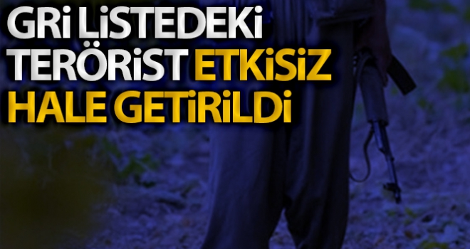 Gri listedeki Hejar kod adlı Halis Eroğlu, Erzurum'da etkisiz hale getirildi