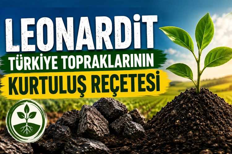 Türkiye tarımında yeni umut... Leonardit ile toprağın hafızası canlanıyor