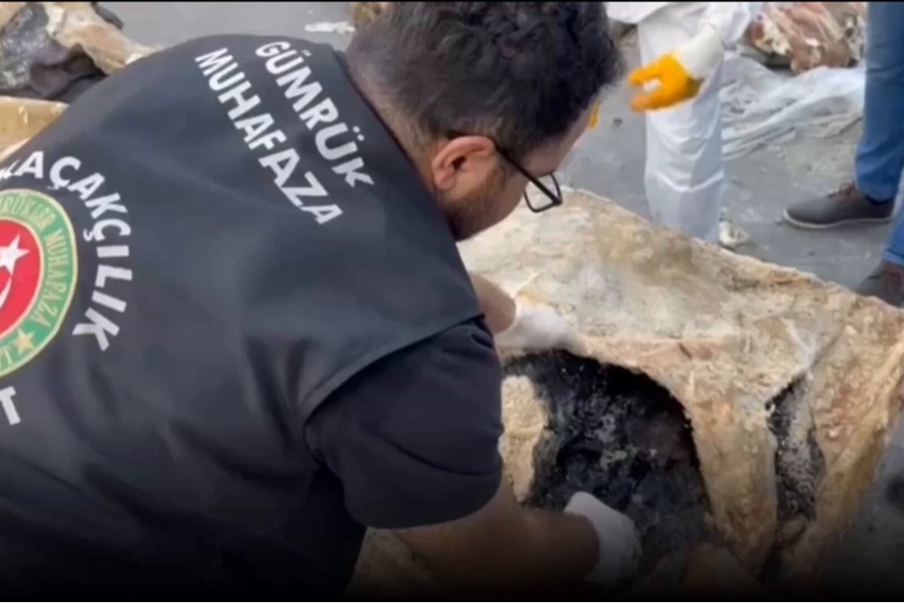 Hamzabeyli'nde yaban hayvanı kaçakçılığına darbe! 2 vaşak ve 2 serval kurtarıldı