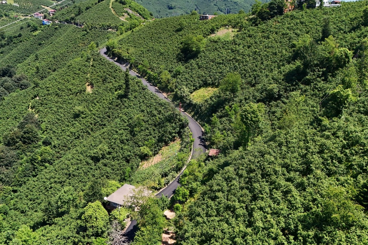 Ordu'da 3,5 kilometrelik asfalt tamamlandı