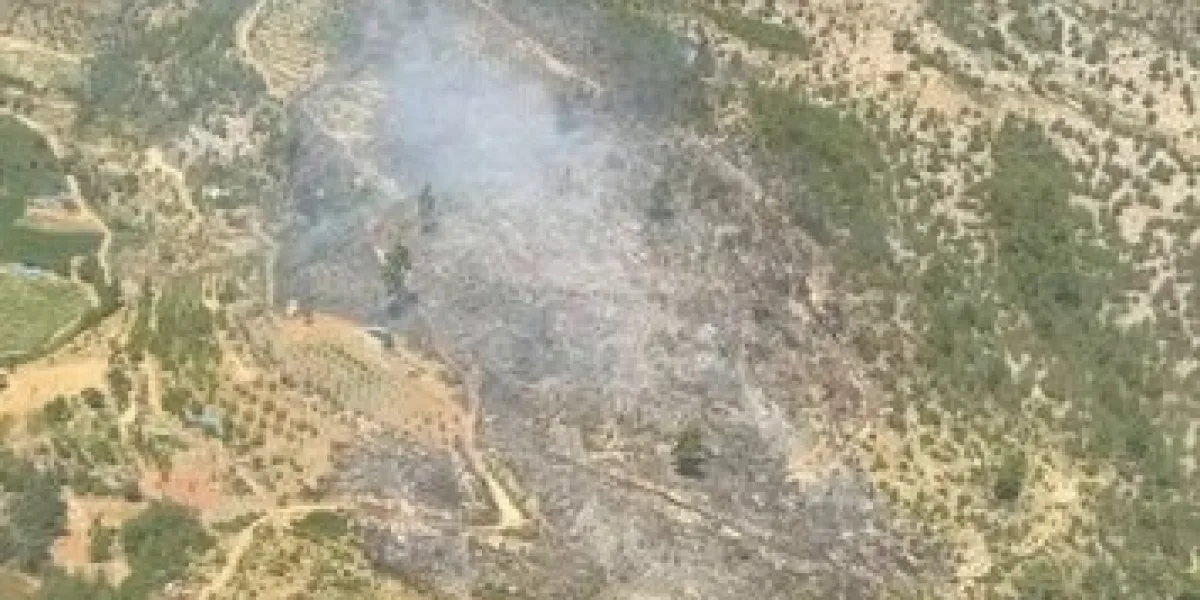 Bursa ve İzmir’de 3 yangın kontrol altında