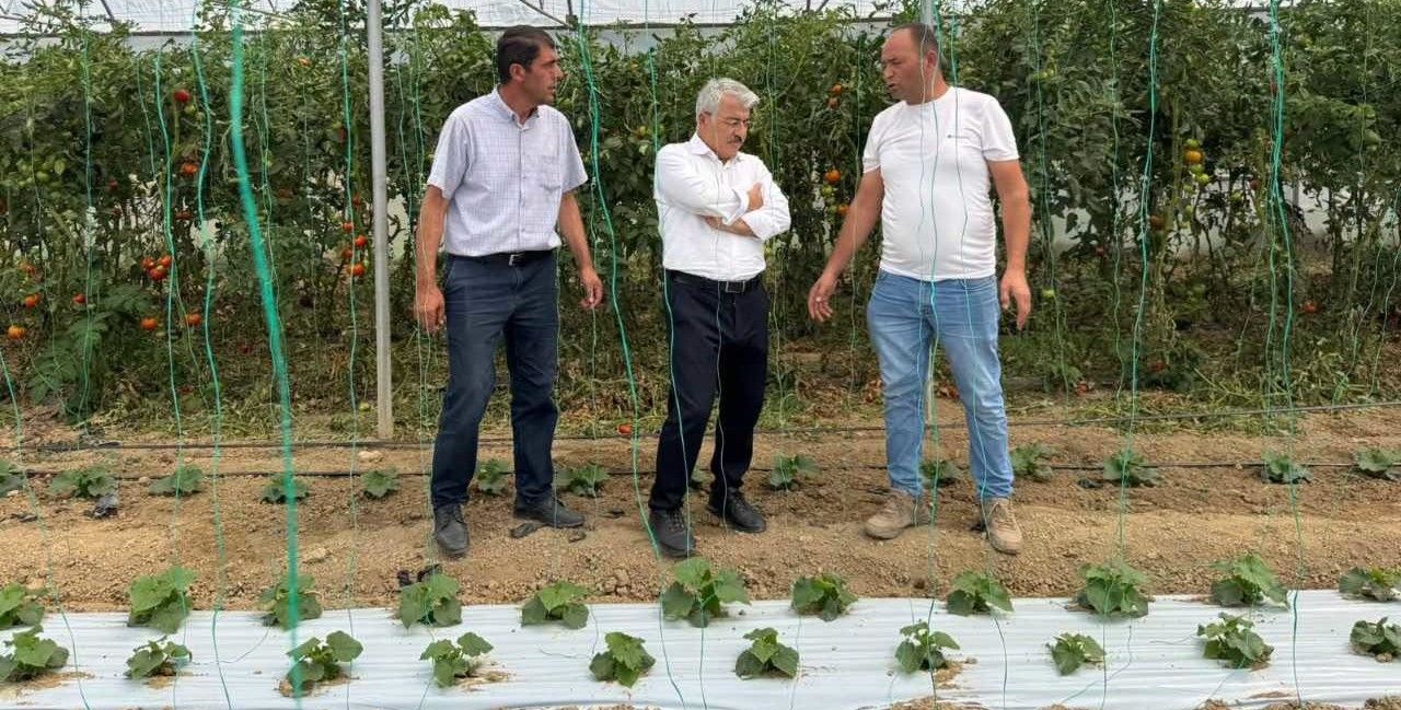 Akşehir'de böğürtlen üretim tesislerinde incelemelerde bulundular